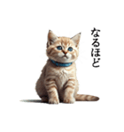 この惑星を支配する猫（個別スタンプ：27）