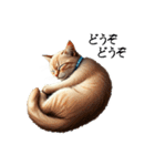 この惑星を支配する猫（個別スタンプ：31）