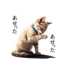 この惑星を支配する猫（個別スタンプ：33）