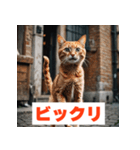 にゃんモジ！感情たっぷりネコスタンプ（個別スタンプ：2）