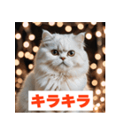 にゃんモジ！感情たっぷりネコスタンプ（個別スタンプ：5）