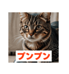 にゃんモジ！感情たっぷりネコスタンプ（個別スタンプ：6）