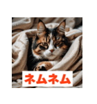 にゃんモジ！感情たっぷりネコスタンプ（個別スタンプ：7）