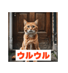 にゃんモジ！感情たっぷりネコスタンプ（個別スタンプ：10）