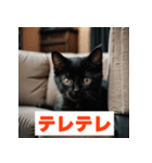 にゃんモジ！感情たっぷりネコスタンプ（個別スタンプ：11）