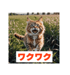 にゃんモジ！感情たっぷりネコスタンプ（個別スタンプ：14）