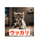 にゃんモジ！感情たっぷりネコスタンプ（個別スタンプ：24）