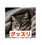 にゃんモジ！感情たっぷりネコスタンプ（個別スタンプ：36）