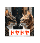 にゃんモジ！感情たっぷりネコスタンプ（個別スタンプ：38）