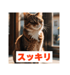 にゃんモジ！感情たっぷりネコスタンプ（個別スタンプ：39）