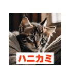 にゃんモジ！感情たっぷりネコスタンプ（個別スタンプ：40）