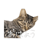 やまちょさくちゃん（個別スタンプ：10）