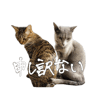 やまちょさくちゃん（個別スタンプ：23）