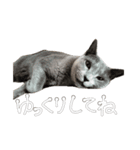 やまちょさくちゃん（個別スタンプ：28）
