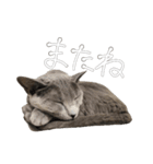 やまちょさくちゃん（個別スタンプ：39）