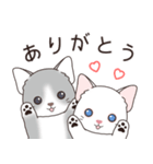 飛び出す‼猫スタンプ＃1『マンチカン』（個別スタンプ：7）