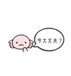 何かと確認したい動物たち（個別スタンプ：11）