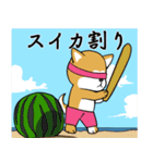 秋田犬の夏花火見物（個別スタンプ：1）