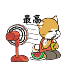 秋田犬の夏花火見物（個別スタンプ：23）