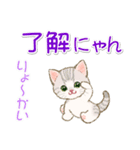 ネコ語でニャ～ニャ～ にゃんにゃんズ（個別スタンプ：13）