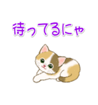 ネコ語でニャ～ニャ～ にゃんにゃんズ（個別スタンプ：27）