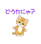 ネコ語でニャ～ニャ～ にゃんにゃんズ（個別スタンプ：35）