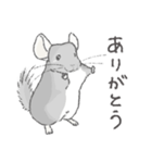 ちょいデフォチンチラ(バイオレット)（個別スタンプ：7）