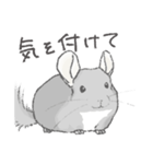 ちょいデフォチンチラ(バイオレット)（個別スタンプ：9）