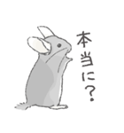 ちょいデフォチンチラ(バイオレット)（個別スタンプ：12）