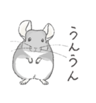 ちょいデフォチンチラ(バイオレット)（個別スタンプ：15）