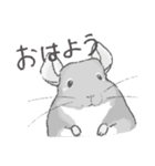 ちょいデフォチンチラ(バイオレット)（個別スタンプ：17）