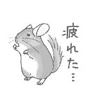 ちょいデフォチンチラ(バイオレット)（個別スタンプ：19）