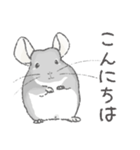 ちょいデフォチンチラ(バイオレット)（個別スタンプ：20）