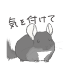 ちょいデフォチンチラ(ブラック)（個別スタンプ：9）