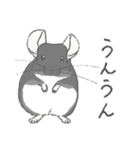 ちょいデフォチンチラ(ブラック)（個別スタンプ：15）