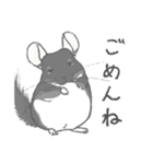 ちょいデフォチンチラ(ブラック)（個別スタンプ：16）
