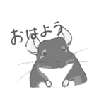 ちょいデフォチンチラ(ブラック)（個別スタンプ：17）