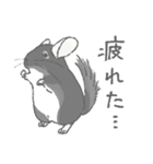 ちょいデフォチンチラ(ブラック)（個別スタンプ：19）