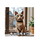 ふんわり粘土風のちゃとら猫スタンプ♪（個別スタンプ：13）