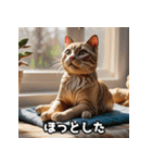 ふんわり粘土風のちゃとら猫スタンプ♪（個別スタンプ：24）