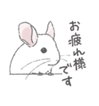 ちょいデフォチンチラ(ホワイト)（個別スタンプ：1）