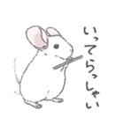 ちょいデフォチンチラ(ホワイト)（個別スタンプ：3）
