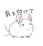 ちょいデフォチンチラ(ホワイト)（個別スタンプ：9）
