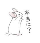ちょいデフォチンチラ(ホワイト)（個別スタンプ：12）
