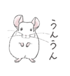 ちょいデフォチンチラ(ホワイト)（個別スタンプ：15）