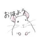 ちょいデフォチンチラ(ホワイト)（個別スタンプ：17）