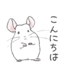 ちょいデフォチンチラ(ホワイト)（個別スタンプ：20）