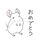 ちょいデフォチンチラ(ホワイト)（個別スタンプ：22）