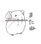 ちょいデフォチンチラ(ホワイト)（個別スタンプ：24）