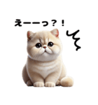 【ずっと使える】毎日エキゾチックショート（個別スタンプ：12）